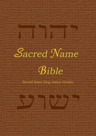 Sacred Name Bible, YHVH & Yeshua in Hebrew, KJV, print book